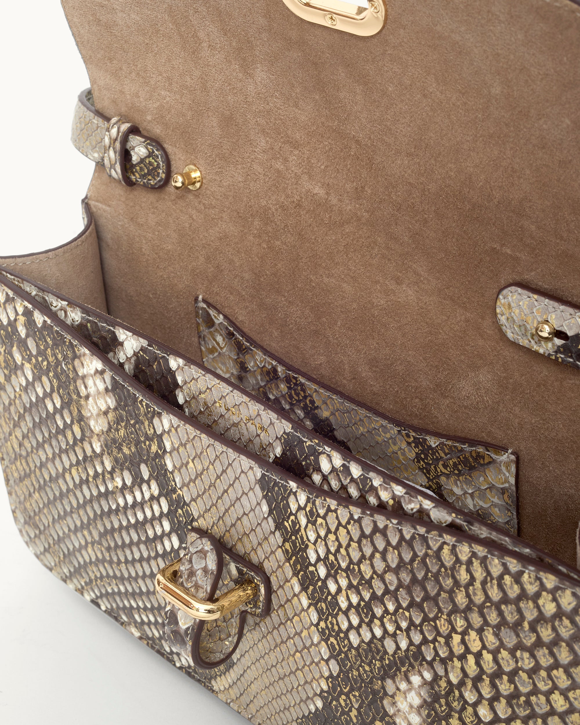 Siena - Shimmer Python