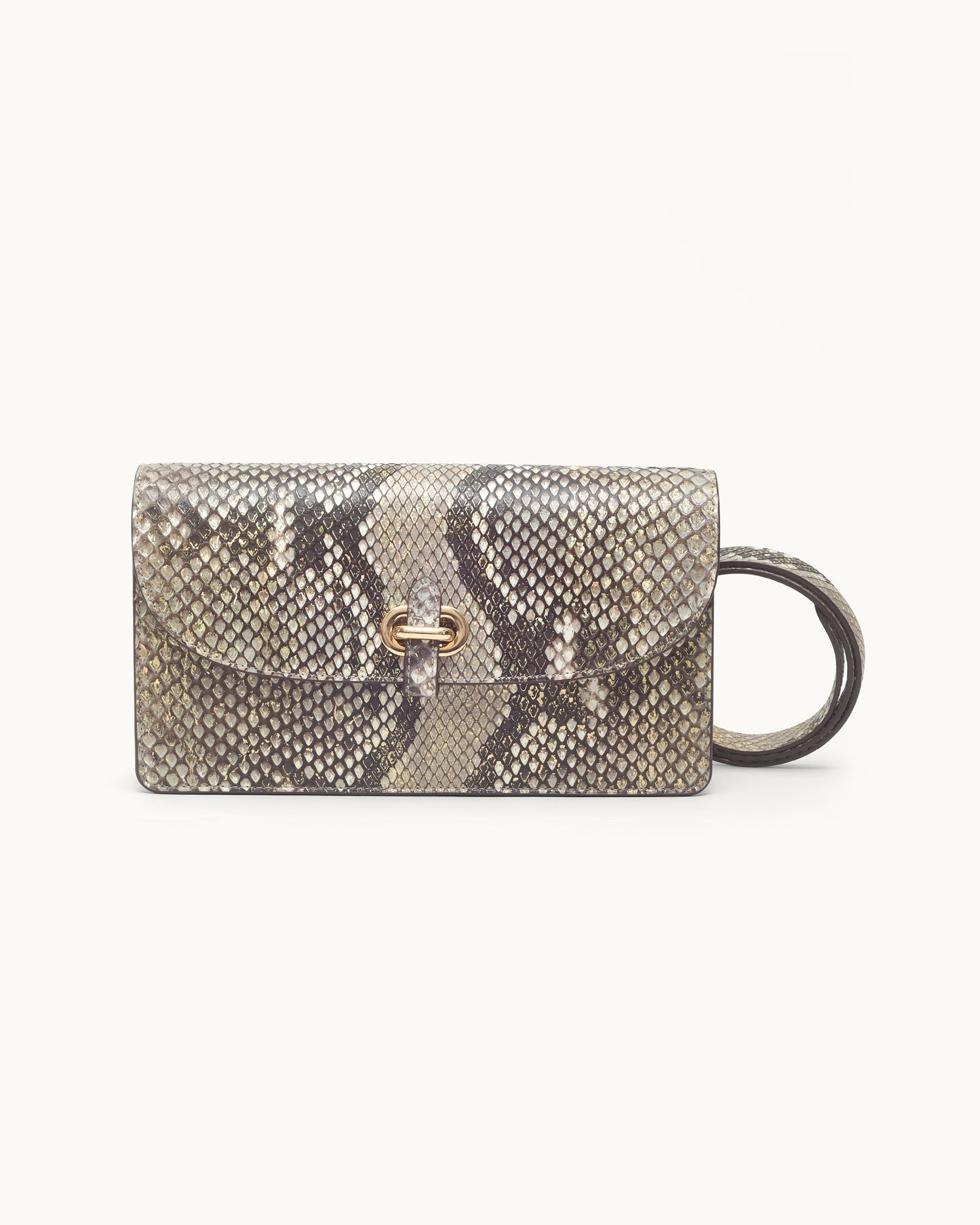 Siena Shimmer Python